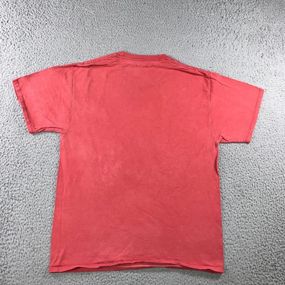 Champion Graphic T-Shirt M Red Mountain Logo Retro Faded Street Outdoor Gorpcore - Picture 2 of 12
